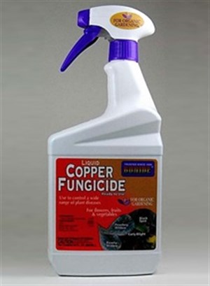 Bonide - Copper Fungicide Organic