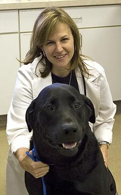 Gillian R. Harclerode , VMD,