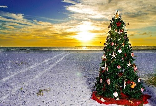 Merry Christmas & Happy New Year! - Sunset Beach Sales