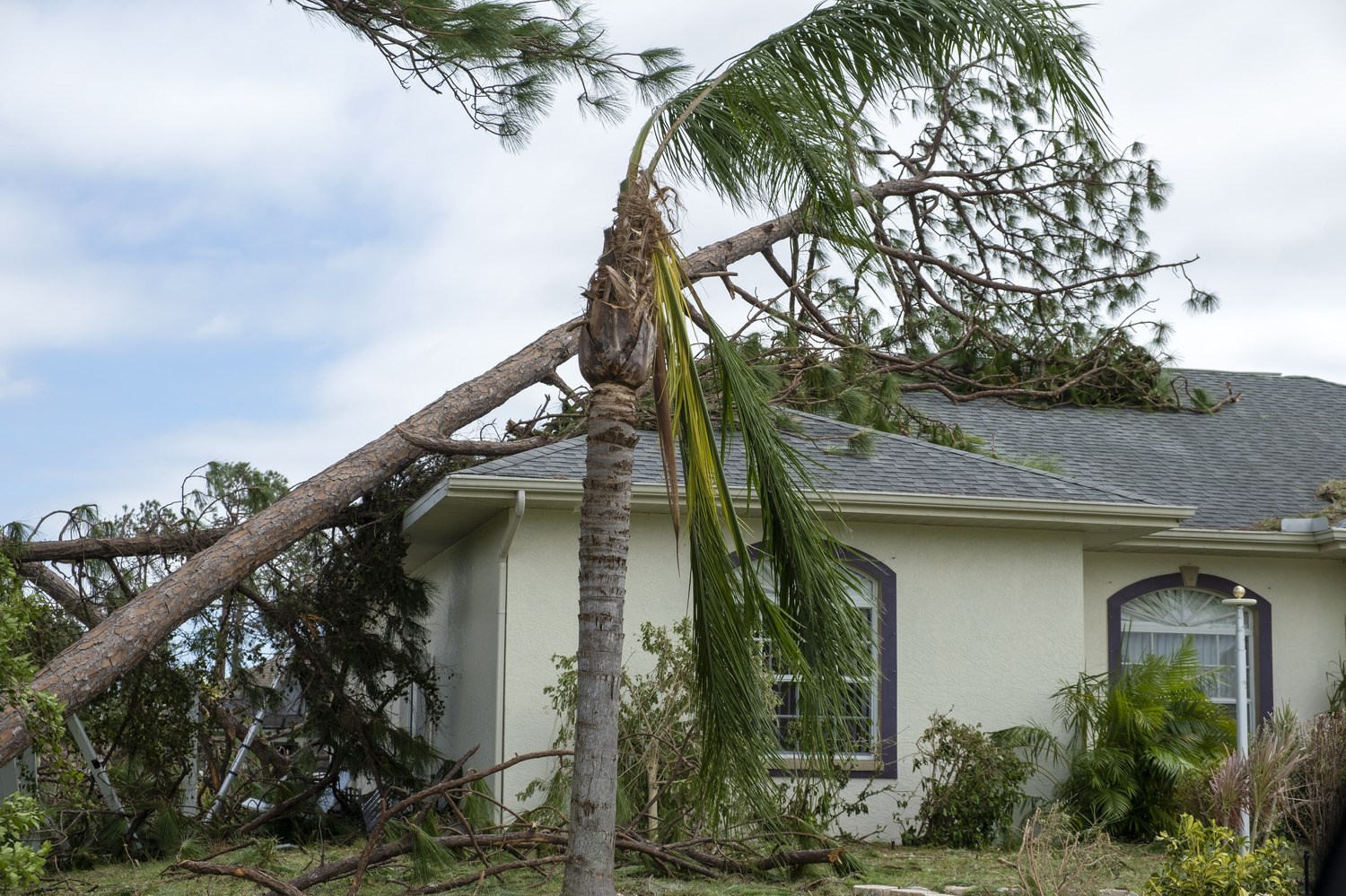 While you can't control Mother Nature, you can take proactive steps to protect your most valuable investment.