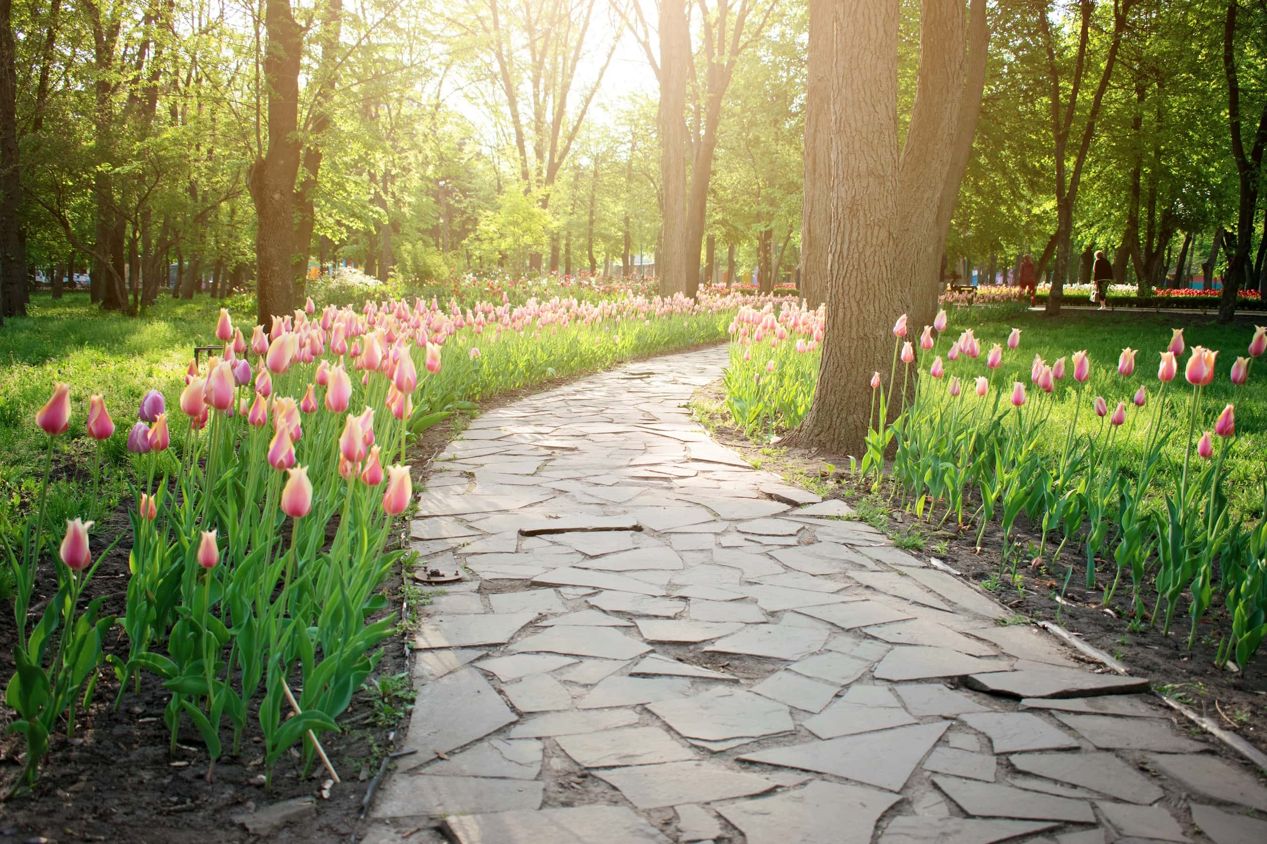 Garden Walk