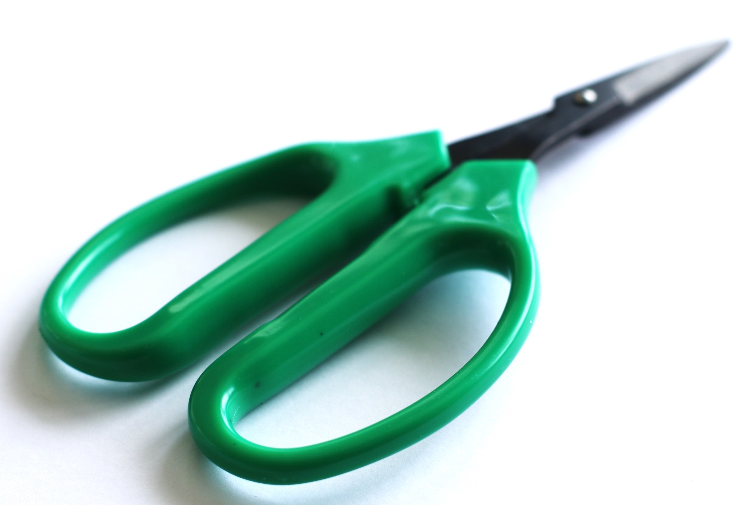 PRO 420 Classic Scissors-Professional grade scissors for trimming plants-Bud Trimming Bonsai Scissors - Classic Bonsai Scissors