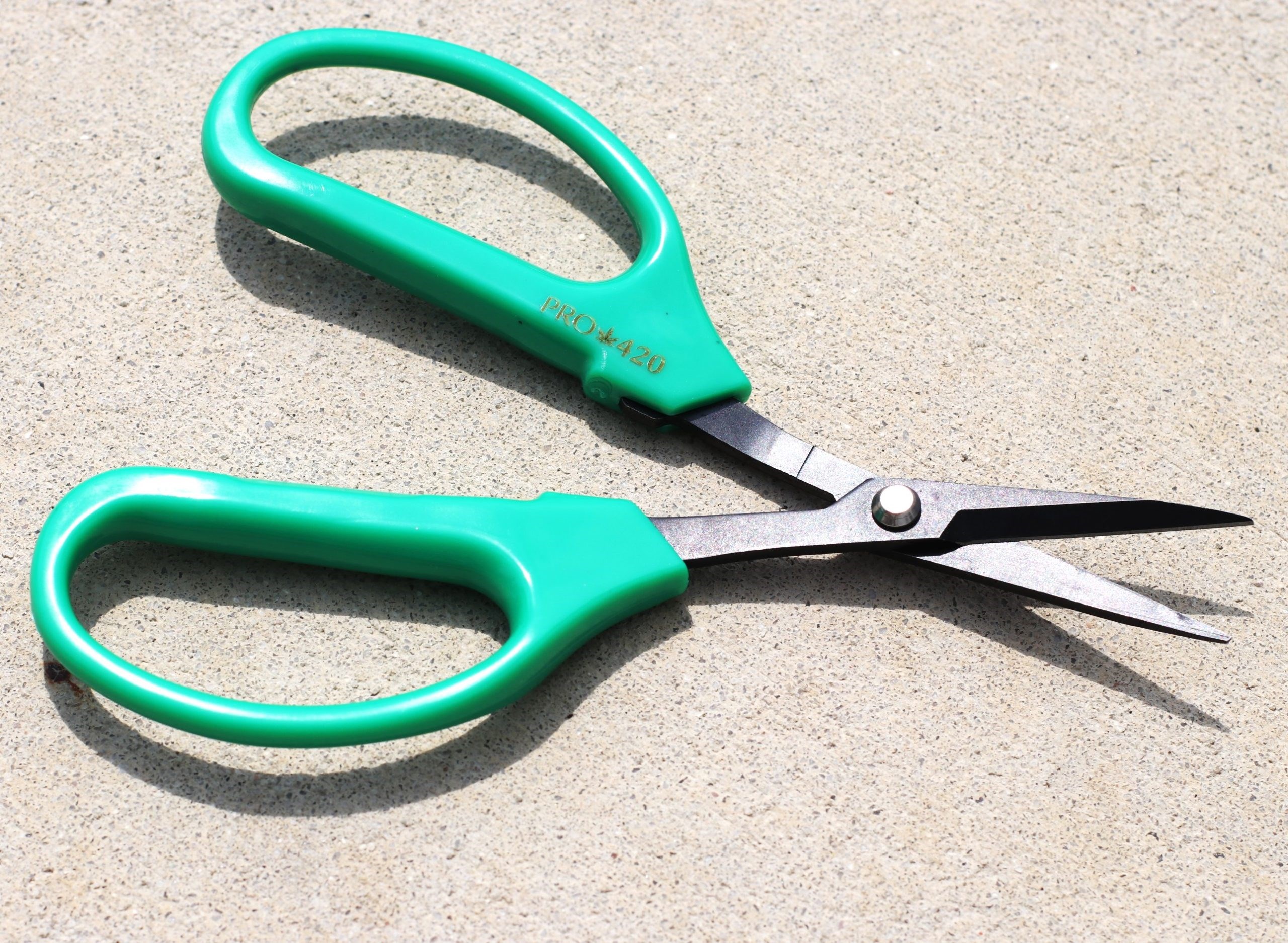 PRO 42O Scissors- Case of 12 Classic Professional Trimming Scissors for Cannabis - Classic Bonsai Scissors