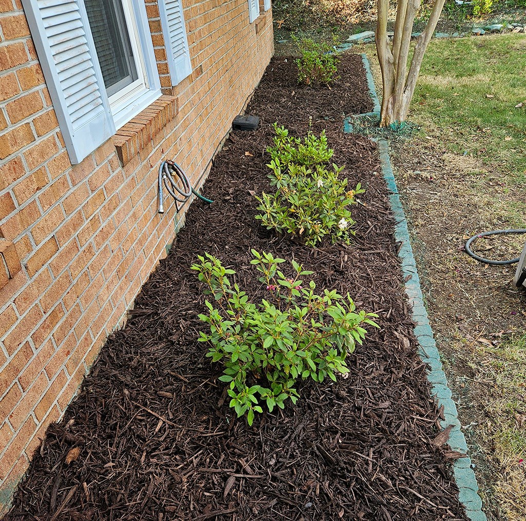 Mulch Installation