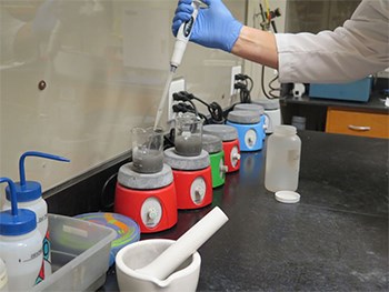 Technicians Working in Our Lab