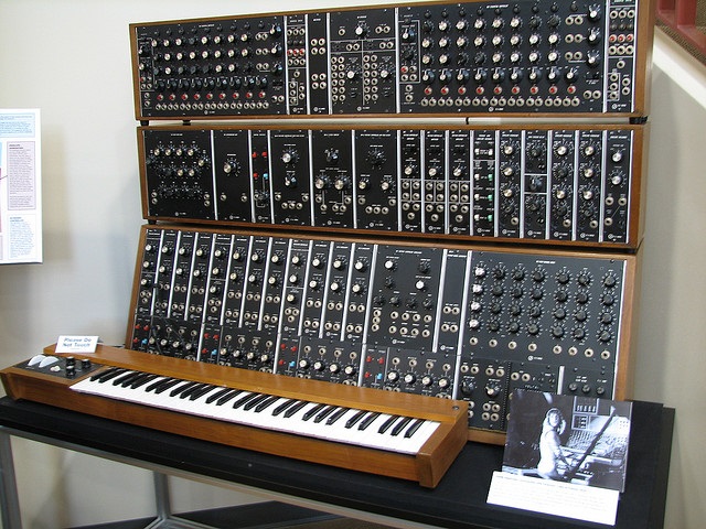 Moog Analog Synthesizer
