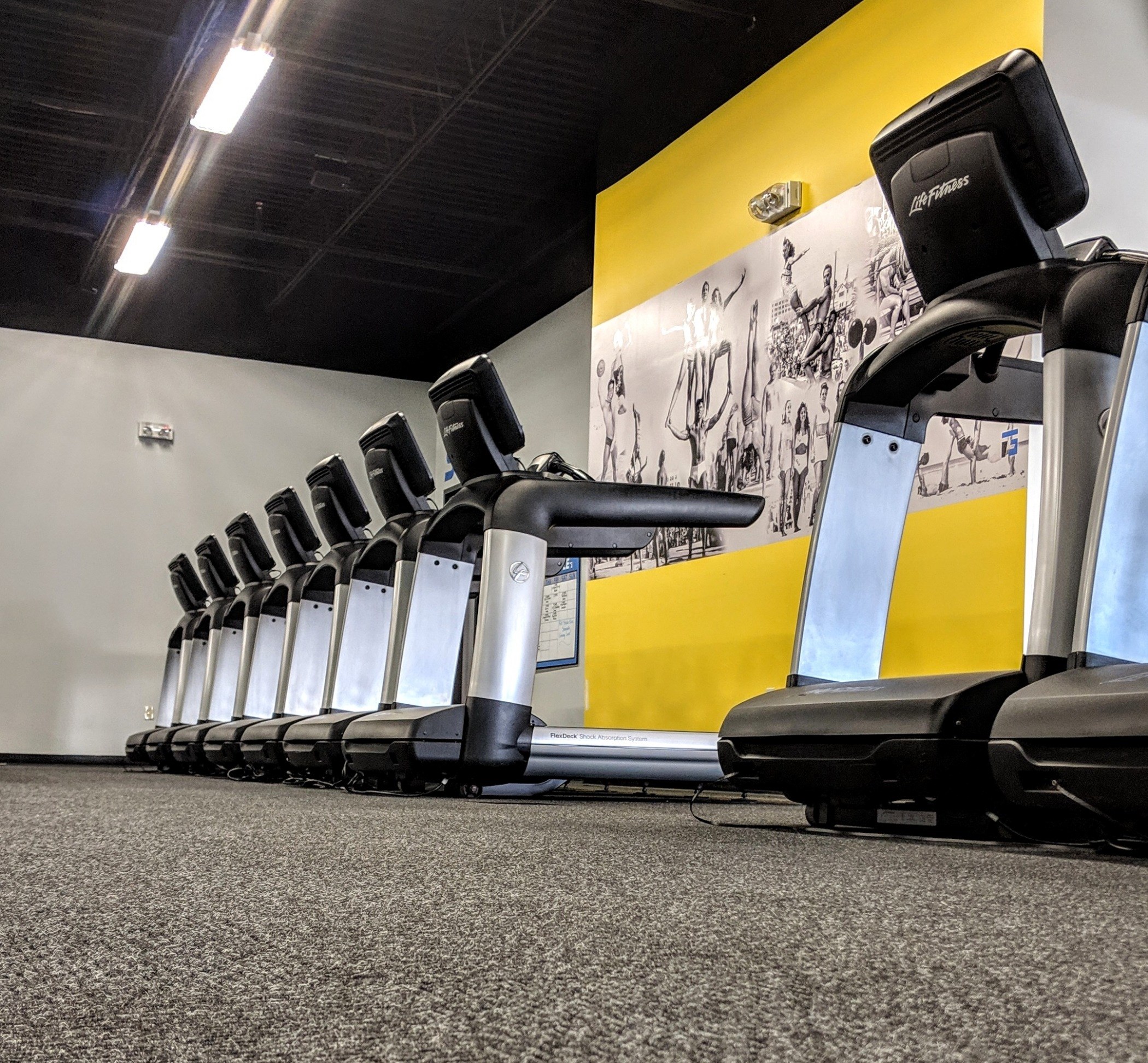 Inside the Gym