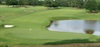 champ image 1477777