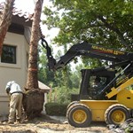Palm-SkidSteer.jpg