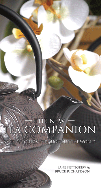 Carolina Coffee The New Tea Companion